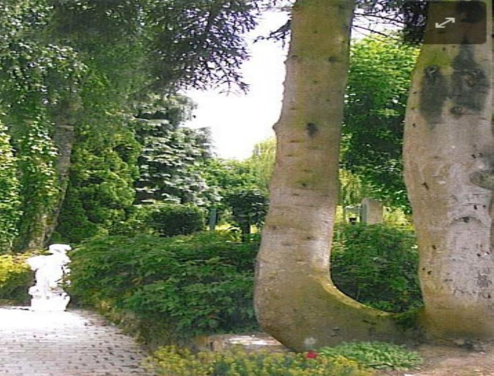 7 , Le Haut Montraye Pacé Exterior photo